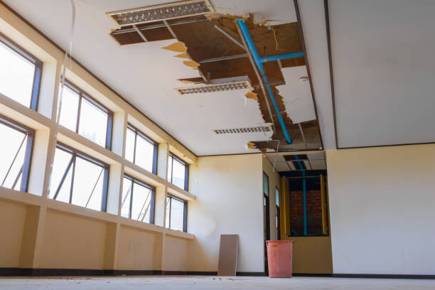 Best Carpet water damage restoration  in Somerville, MA