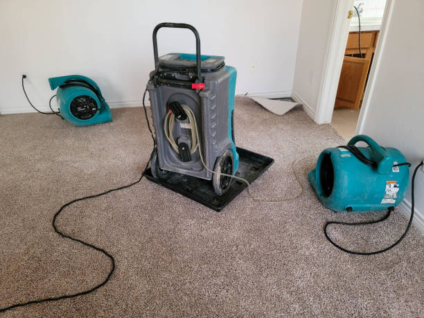 Trusted Somerville, MA Water damage restoration Experts