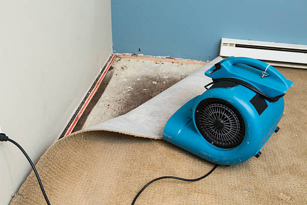 Best Flood damage cleanup  in Somerville, MA